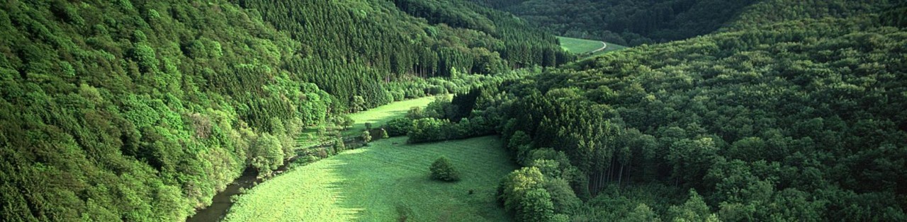 Landschaft - Unser Tal