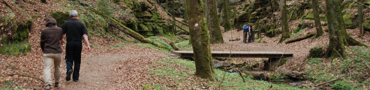 Wanderer im Müllerthal