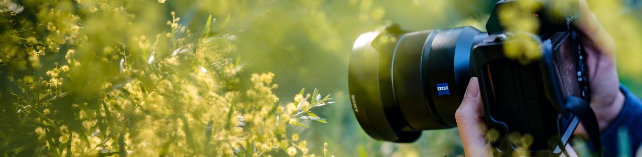 Photographier la nature