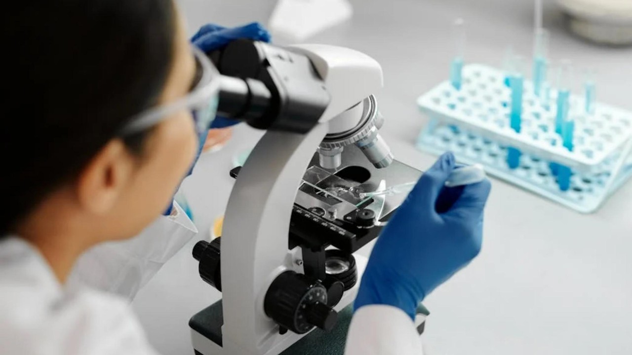 Sehr beliebt sind insbesondere Forscher im Bereich Biotechnologie