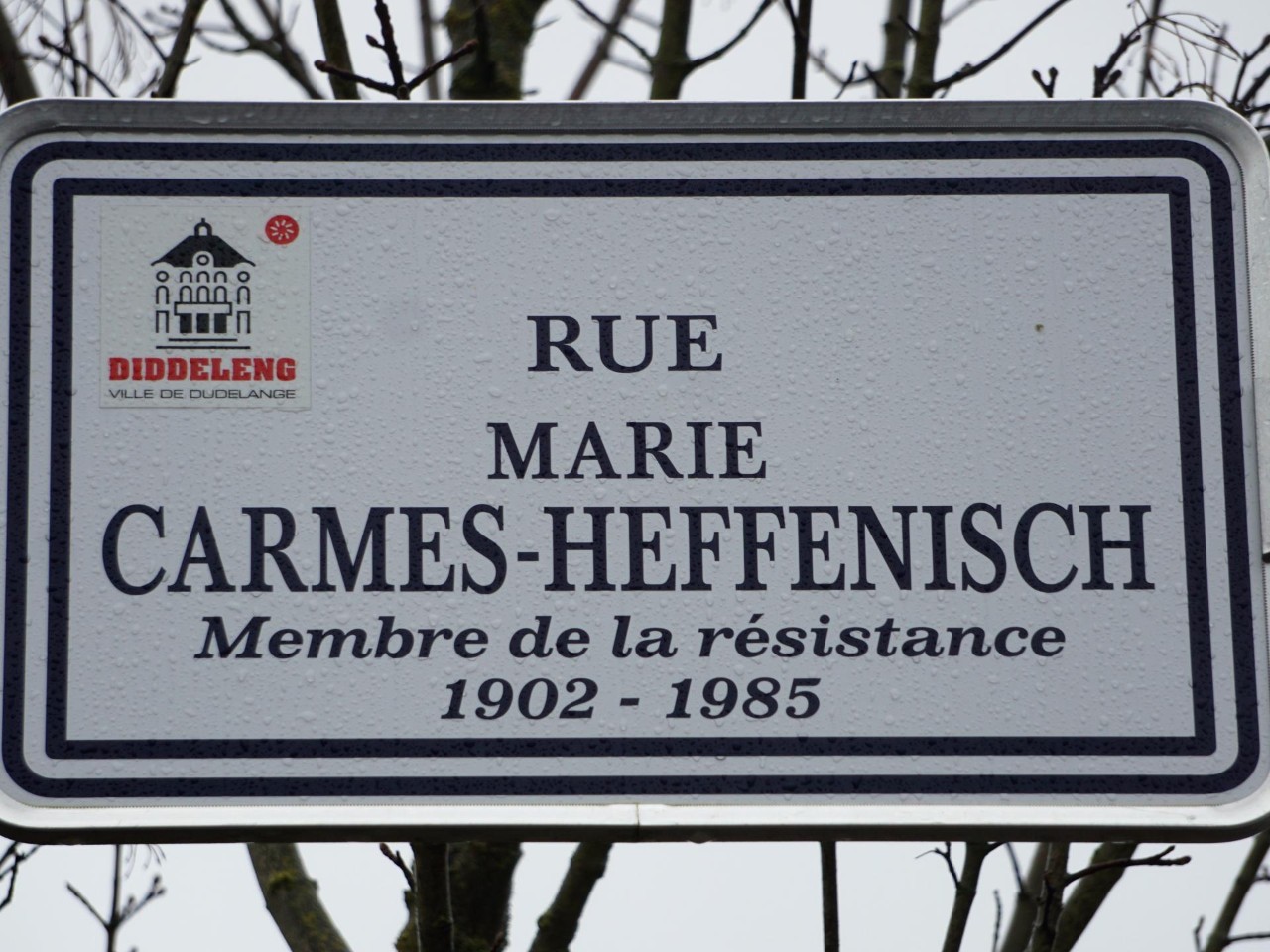 Bild- Frauenstrassen - Marie Carmes Heffenisch