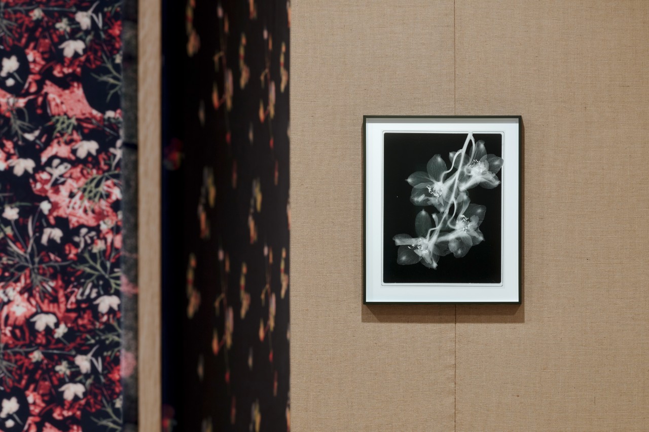 Ansicht der Ausstellung