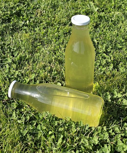 Maitrank – bereit zum Genießen.