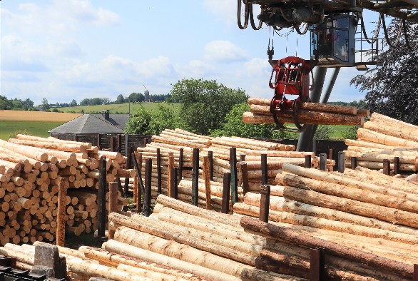 Jedes Jahr werden in den Wäldern Luxemburgs 750.000 m3 Holz produziert, von denen 500.000 m3 konkret geerntet werden.