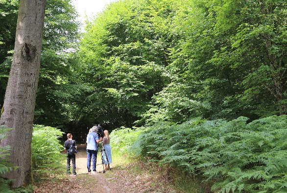 90.000 Hektar sind mit Wald bedeckt, das ist mehr als ein Drittel der Landesfläche, mit einem sehr großen Anteil an Laubbäumen (64% der Gesamtfläche) im Vergleich zu Nadelbäumen (36%).