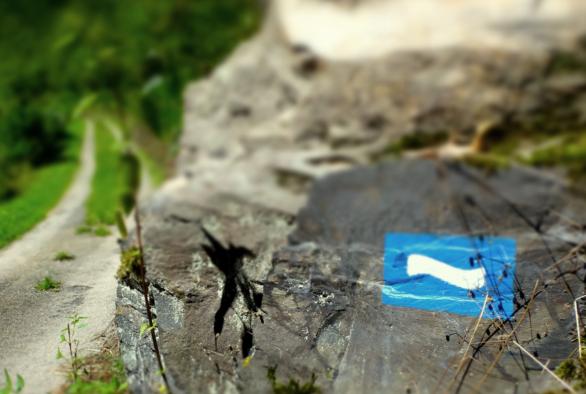 Top 5 große Trails