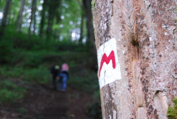 Top 5 große Trails