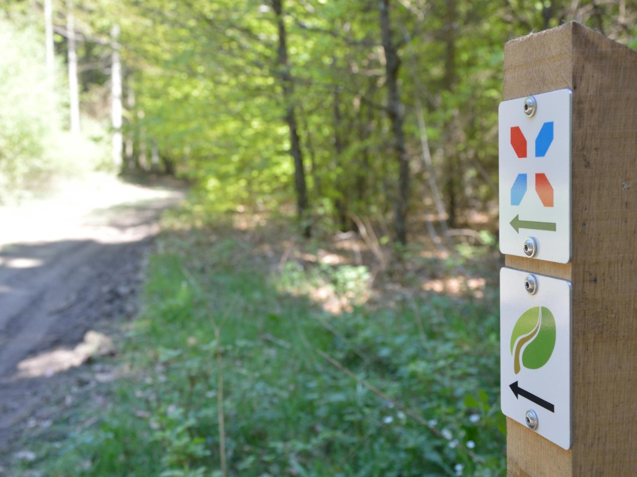 Bild - Einheitliche Beschilderung von Wanderwegen Luxemburg
