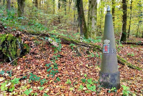 Laufveranstaltungen - Guttland Landschaft