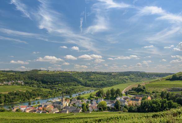 Wandern Mosel