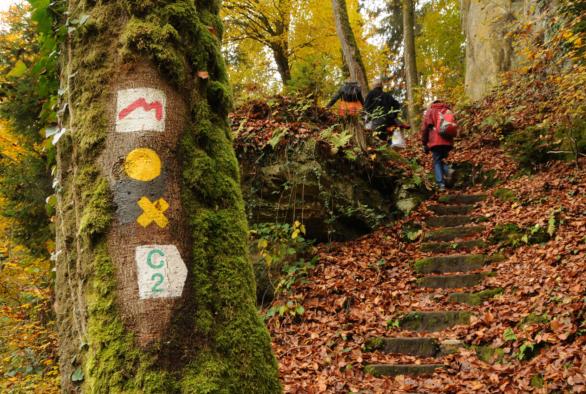 Mullerthal Trail - Route 2 en automne