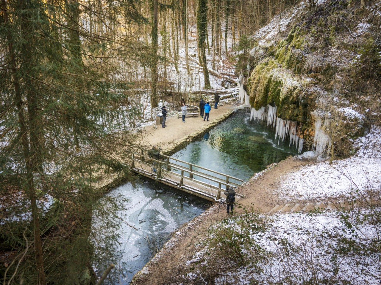 Die Kalktuffquelle im Müllerthal.
