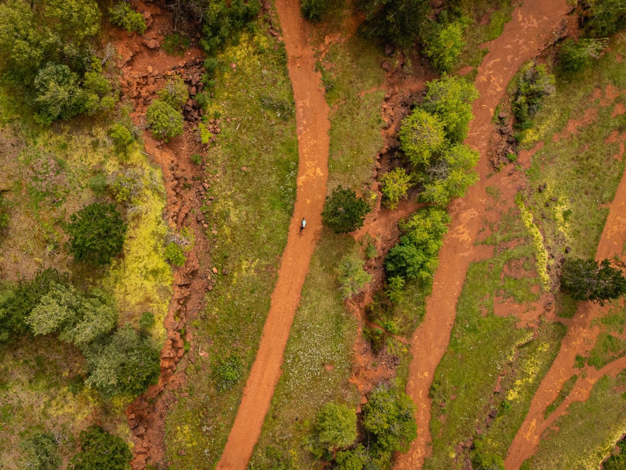 Bild – Landschaft Minett