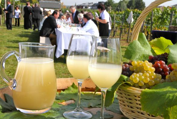 Weinbauregion Mosel