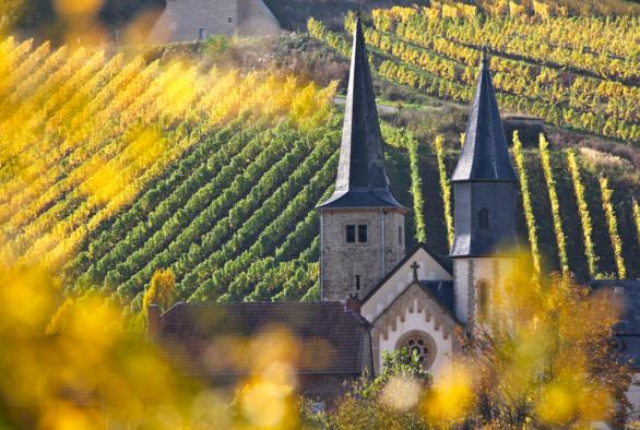 Weinbauregion Mosel