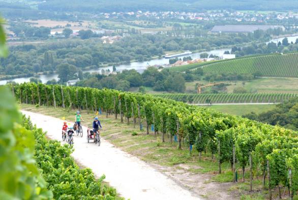 Weinbauregion Mosel