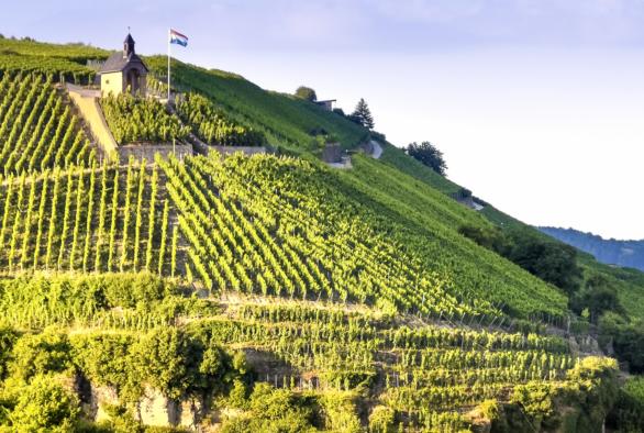 Weinbauregion Mosel