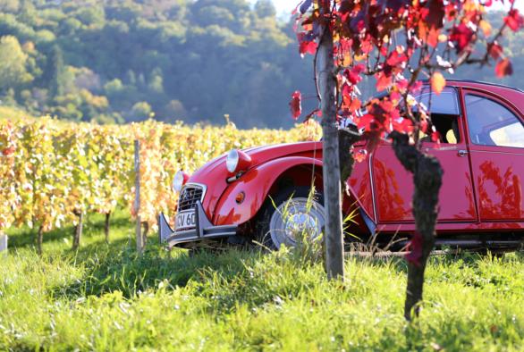 Weinbauregion Mosel