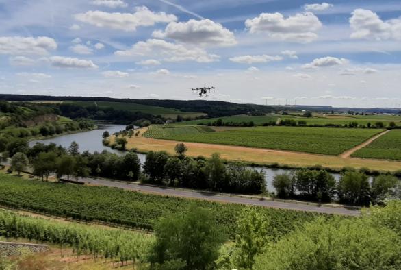 Im Kampf gegen Pilze setzt Corinne Kox im Frühjahr und Sommer alle fünf Tage zwischen Mai und Juli eine Drohne ein.  