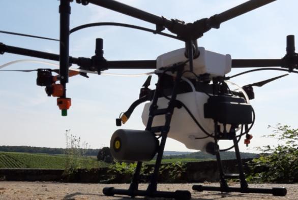 Eine weiße Drohne mit einer Flügelspannweite von etwa einem Meter fliegt über die Rebzeilen von Corinne Kox.