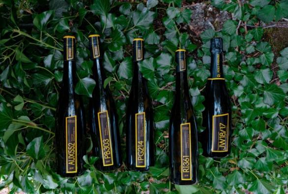 Weinsortiment "Jongwënzer Vinsmoselle"