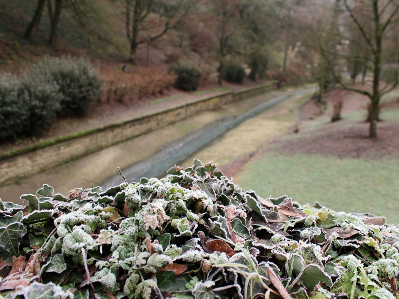 Petruss valley in winter