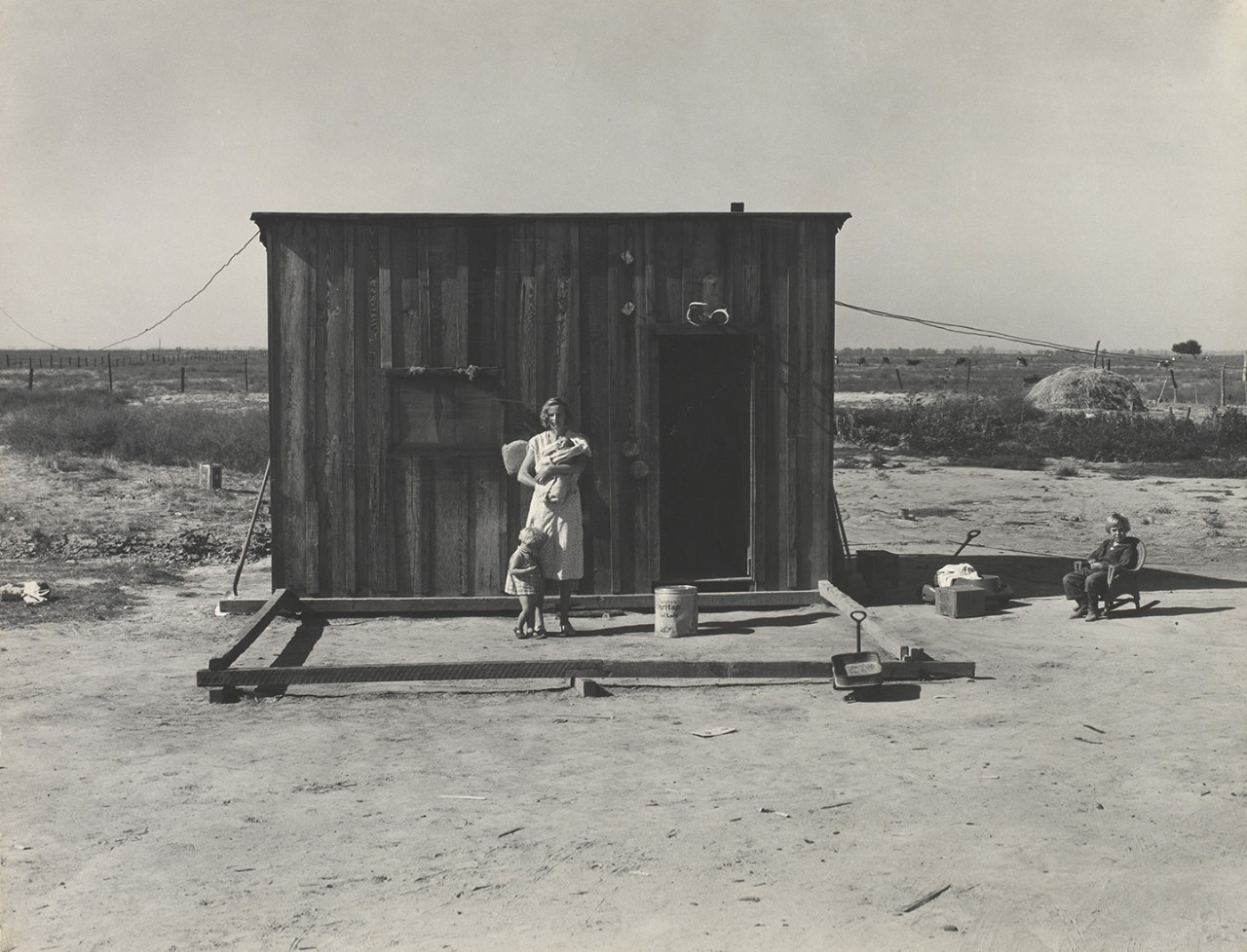 Photograph