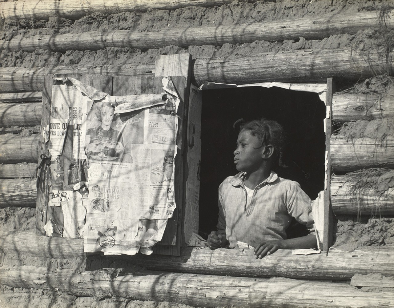 Photograph