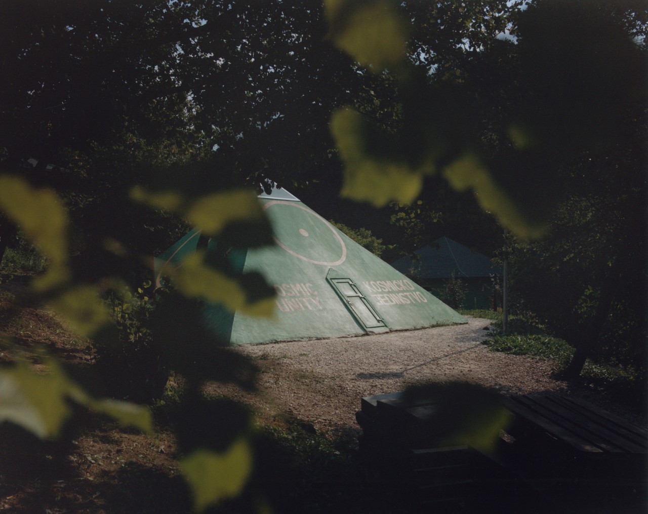 Medium format film photography