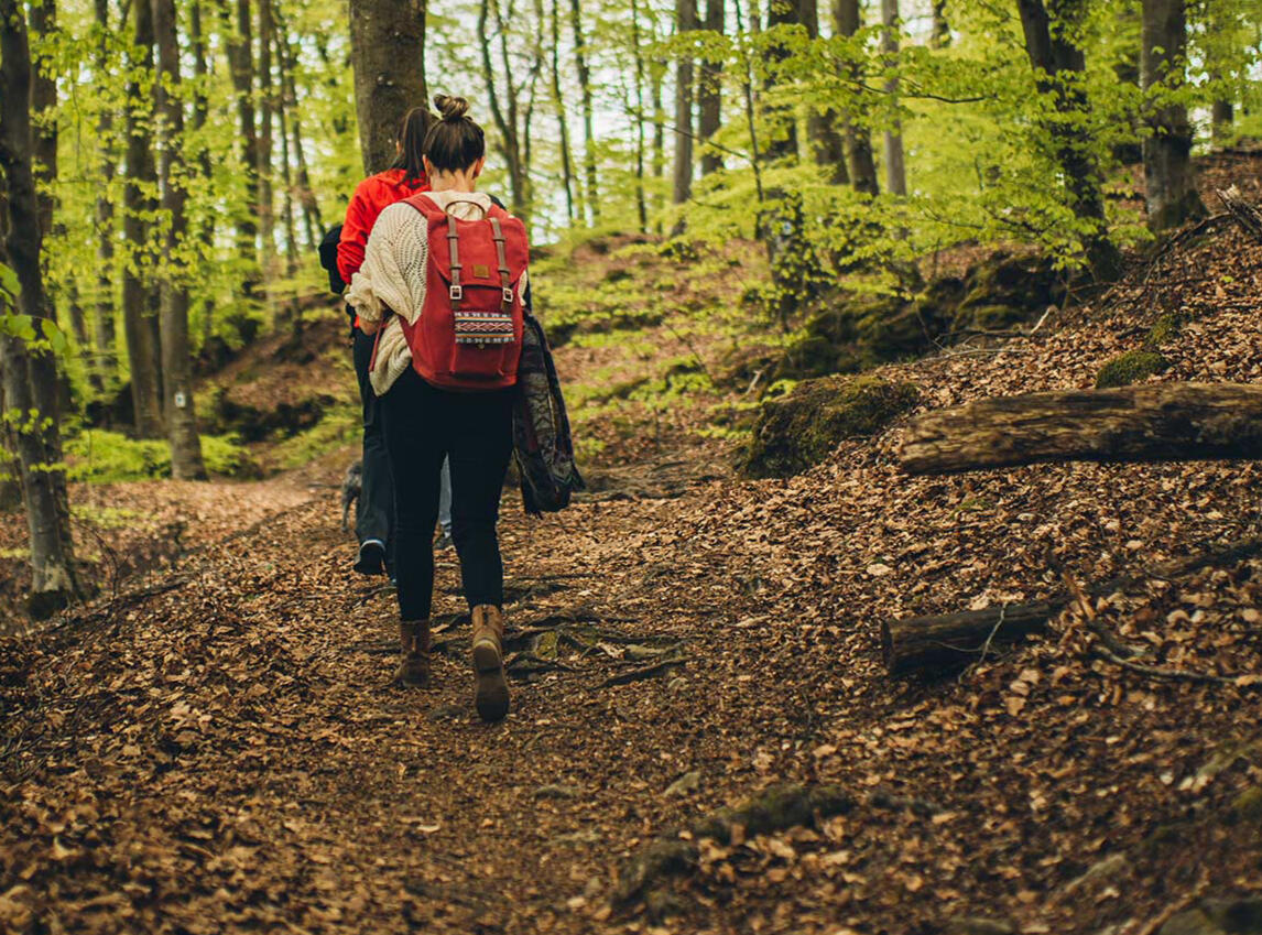 Hikers in the forest