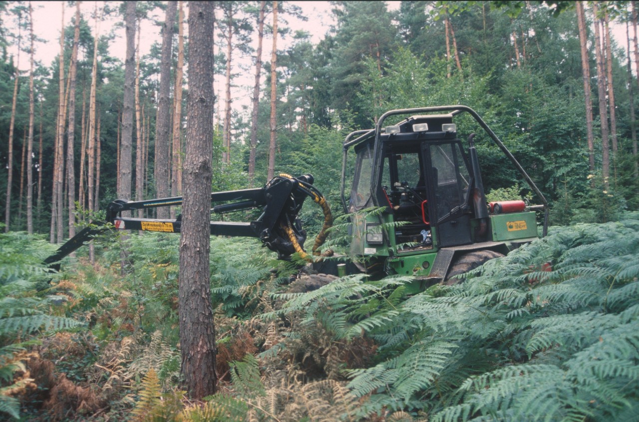 Harvester in the forest