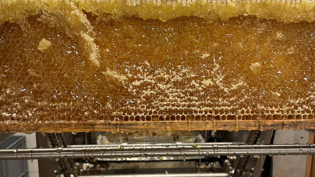 L'extraction du miel est complètement automatisée avec du matériel professionnel.