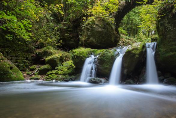 Hiking I Mullerthal And Moselle Luxembourg