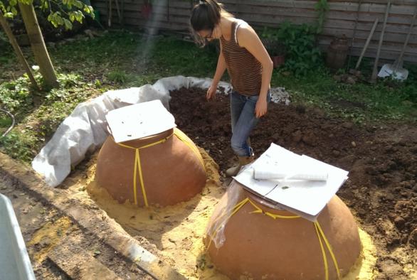 Two half-buried amphorae at Domaine Kox.