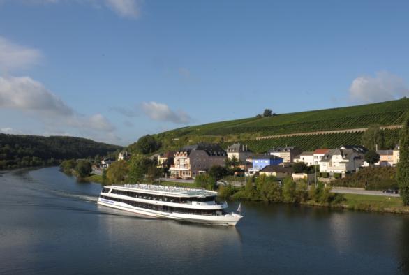 Wine-growing Moselle