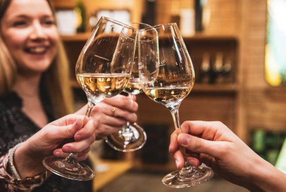 People in a winery toasting with wine glasses.