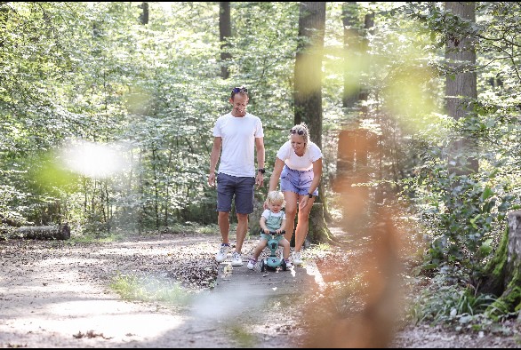 Comfort hiking trail Bissen