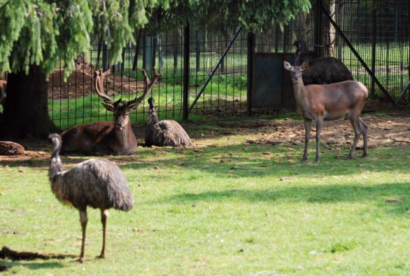 Gaalgebierg Wildlife Enclosure - Esch