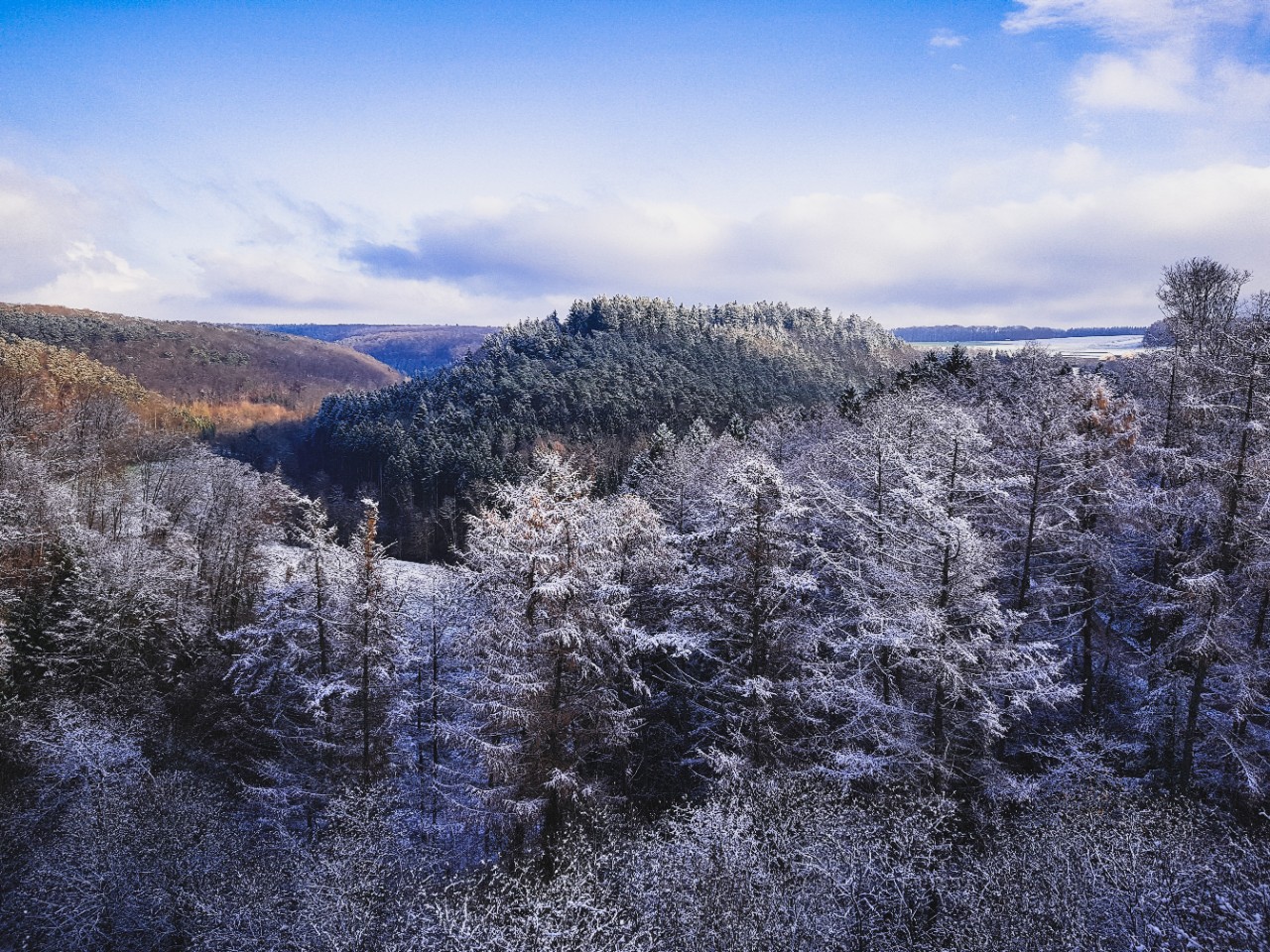 Le parc naturel de la Haute-Sûre dans les Ardennes luxembourgeoises fascine par ses vues spectaculaires et son environnement intact. En été comme en hiver, des randonnées et des activités sportives vous invitent à la découverte.