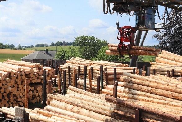 Chaque année, 750.000 m3 de bois sont produits dans les forêts au Luxembourg, dont 500.000 m3 sont concrètement récoltés.