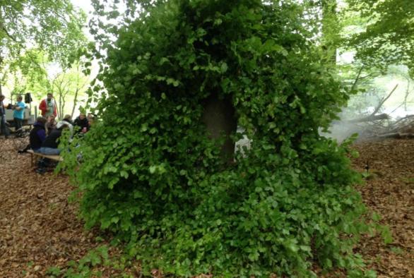 Un Meekranz dans la forêt