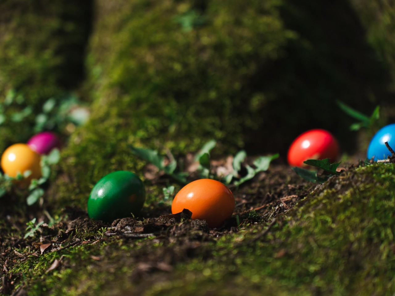 Image - Oeufs colorés