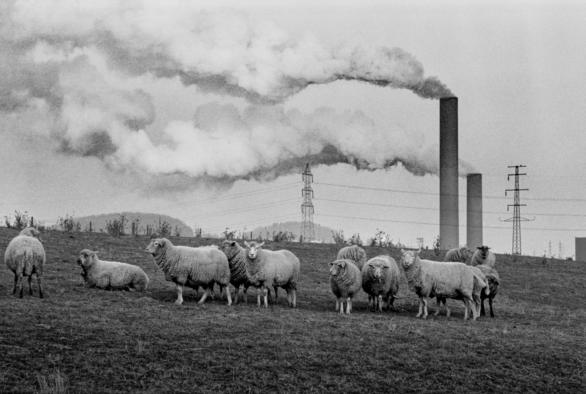 Pâturages et usines Esch-Belval, circa 1980.