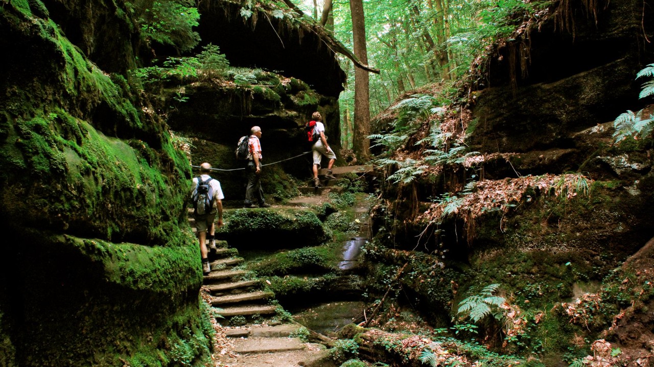 Randonneurs dans la forêt près de Consdorf.