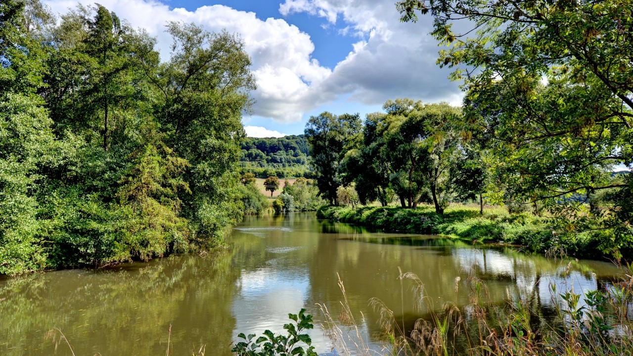 Le long de l’Atert, les berges paisibles invitent à la sérénité au cœur de la nature.