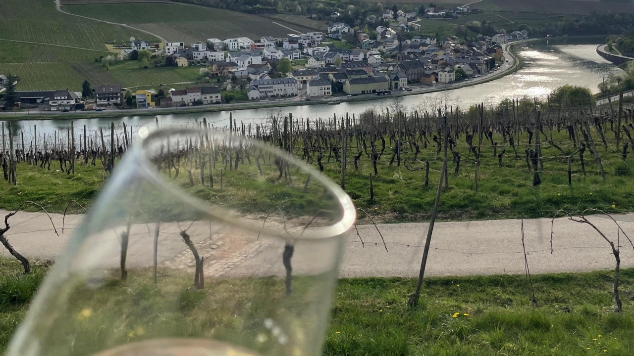 Des visites de caves et des dégustations de produits du terroir jalonnent la route des vins.