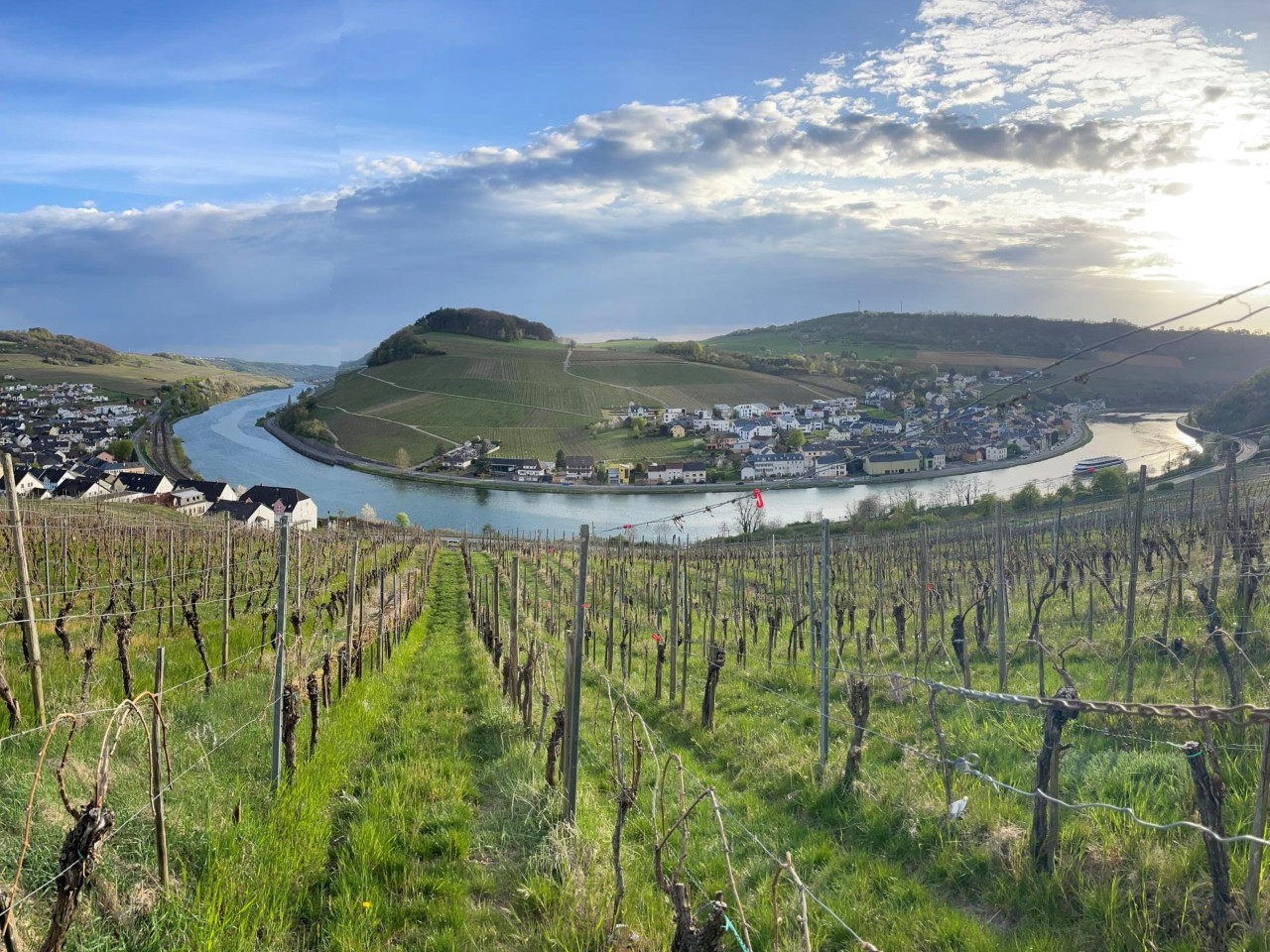 La Moselle serpente le Grand-Duché sur 39km avant de se jeter dans le Rhin.