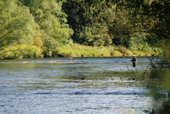 Les plans d'eau du Luxembourg sont un vrai paradis pour les pêcheurs qui retrouvent calme et tranquilité au milieu d'un cadre naturel extraordinaire. 