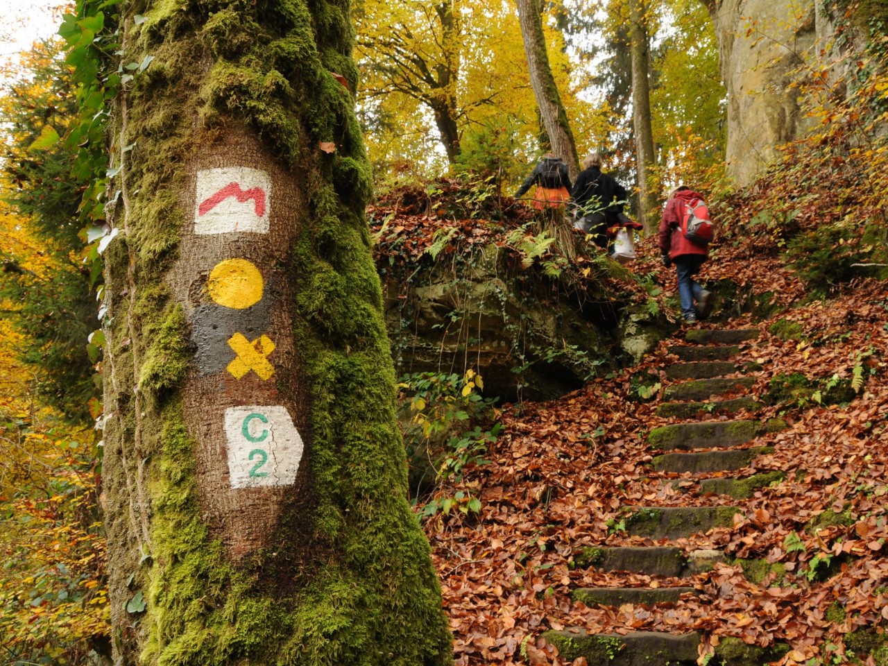 Mullerthal Trail - Route 2 en automne