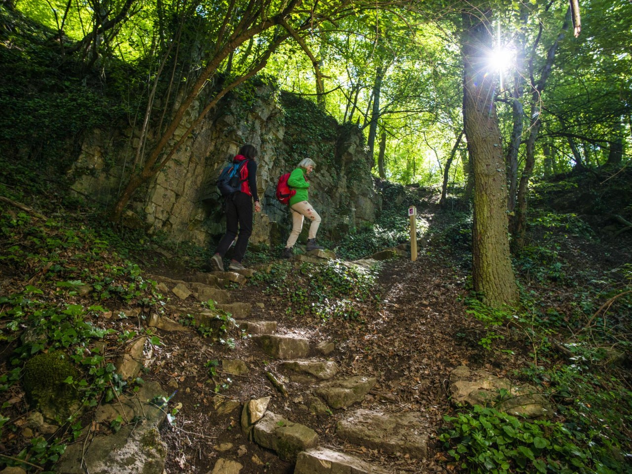 Image - Randonnées pédestres Moselle - Manternacher Fiels